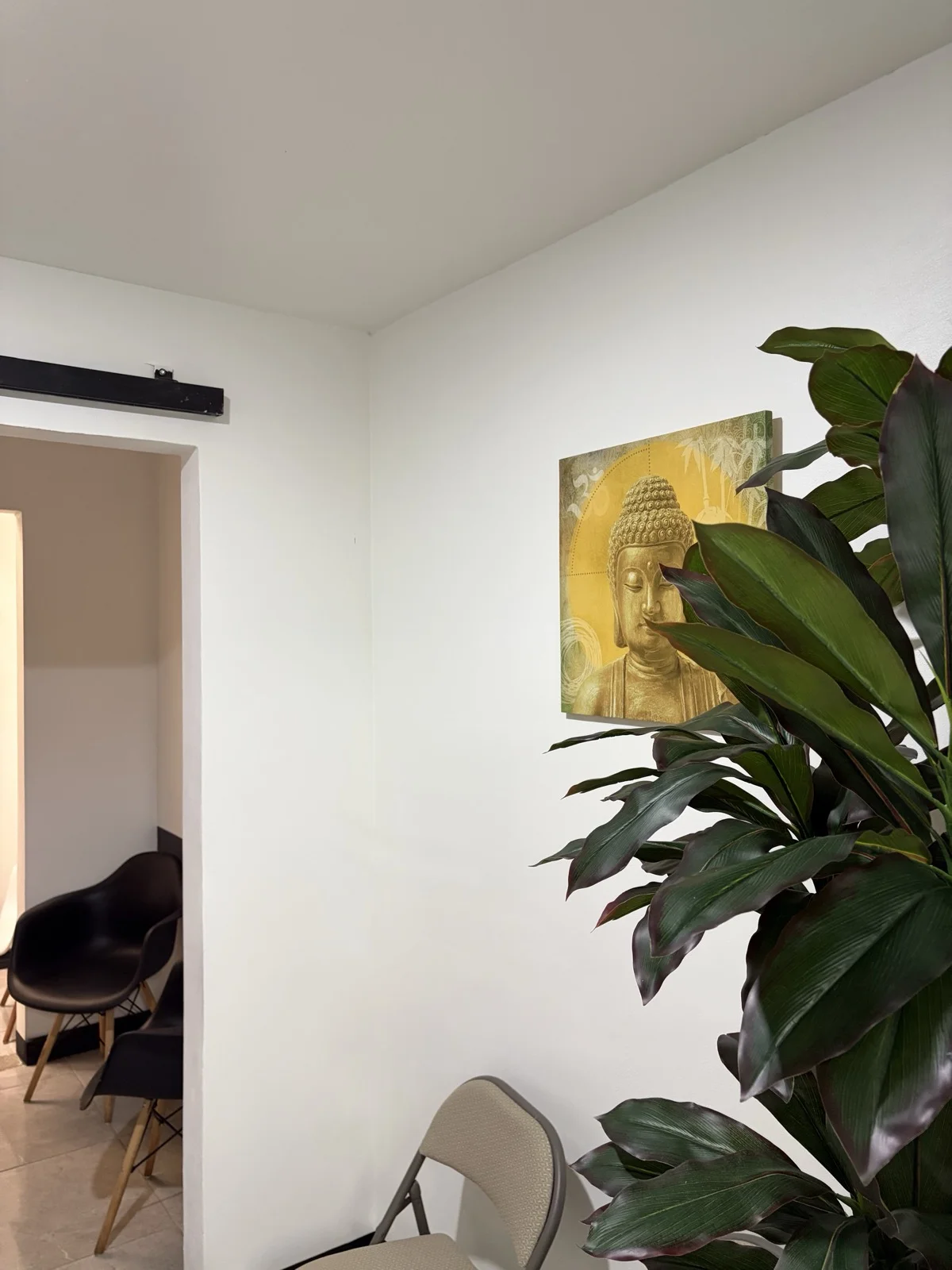 Sala de espera y recepción con elementos naturales y arte sereno
